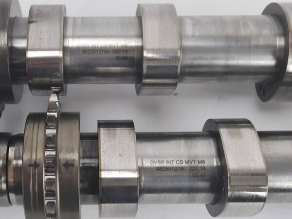 Ford Nokkenas - Transit Connect