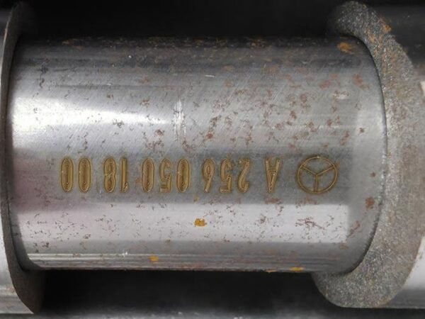 Mercedes Nokkenashuis - S-Klasse