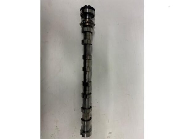 Ford Nokkenas - Transit Connect