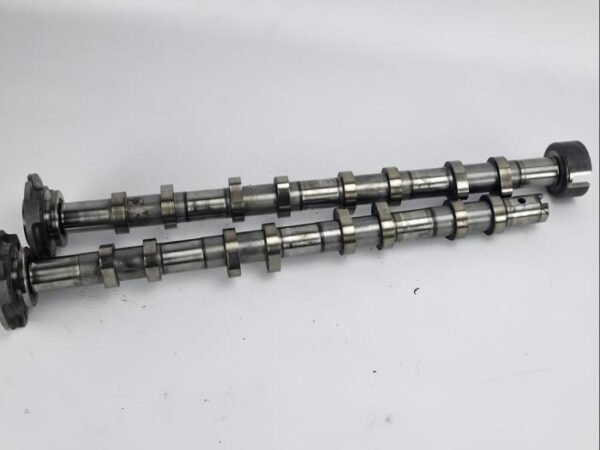 Ford Nokkenas - Transit