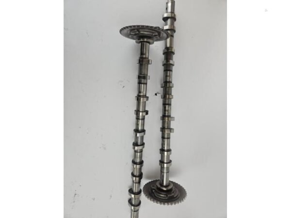 Ford Nokkenas - Ranger