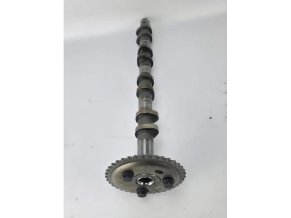 Ford Nokkenas - Transit