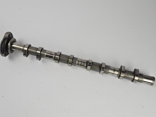 Ford Nokkenas - Transit